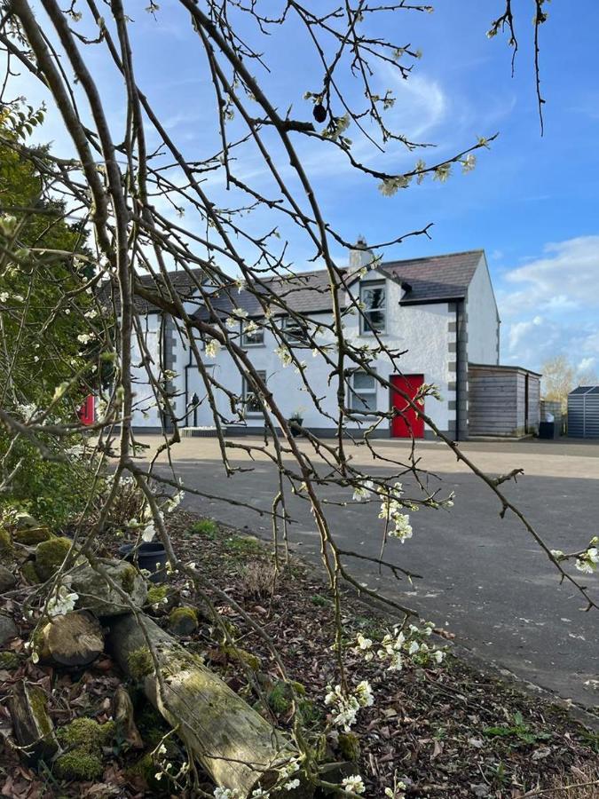 Willow House Bed&Breakfast&Orchard Studios Self Catering Limavady Exterior foto